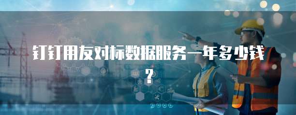钉钉用友对标数据服务一年多少钱？