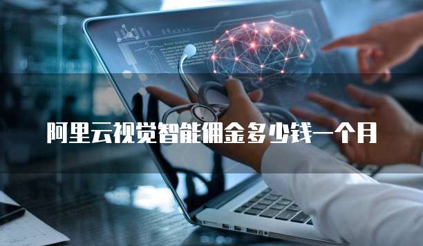 阿里云视觉智能佣金多少钱一个月