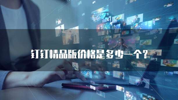 钉钉精品版价格是多少一个?