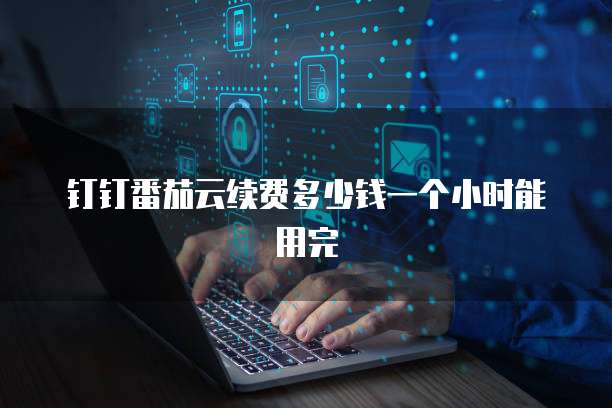 钉钉番茄云续费多少钱一个小时能用完