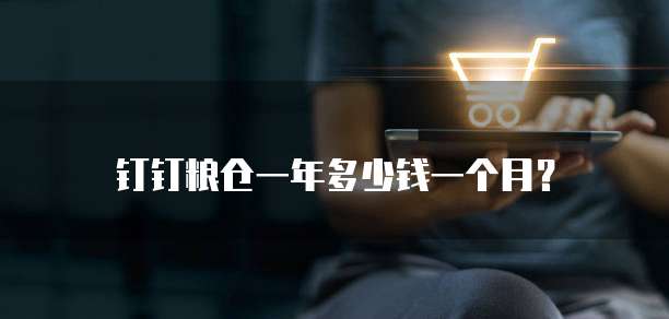 钉钉粮仓一年多少钱一个月?