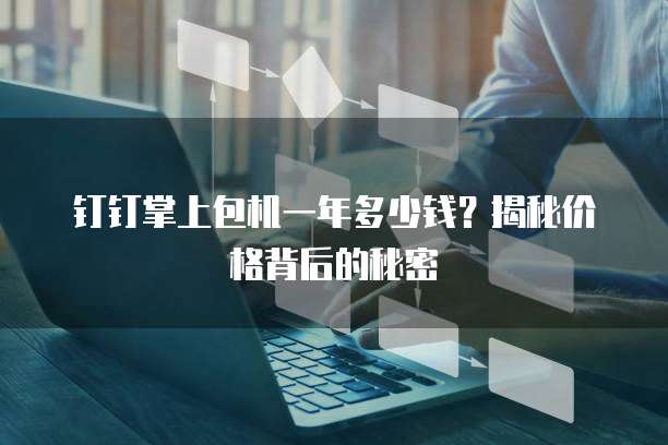 钉钉掌上包机一年多少钱?揭秘价格背后的秘密
