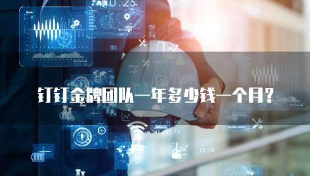 钉钉金牌团队一年多少钱一个月？