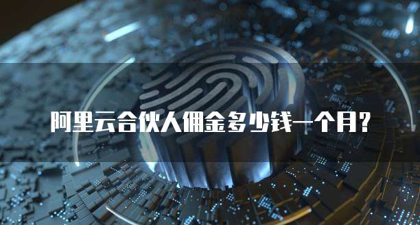 阿里云合伙人佣金多少钱一个月?