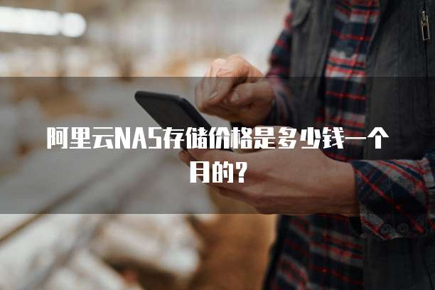 阿里云NAS存储价格是多少钱一个月的?