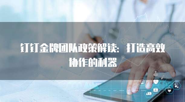 钉钉金牌团队政策解读:打造高效协作的利器