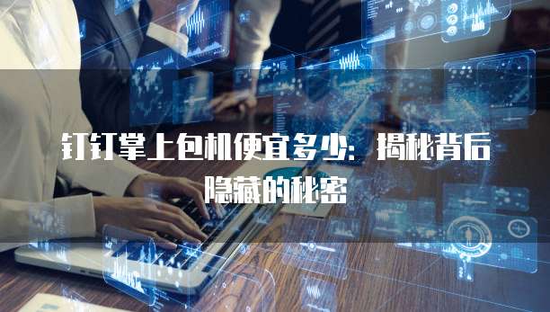 钉钉掌上包机便宜多少：揭秘背后隐藏的秘密