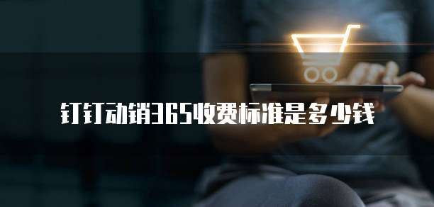 钉钉动销365收费标准是多少钱