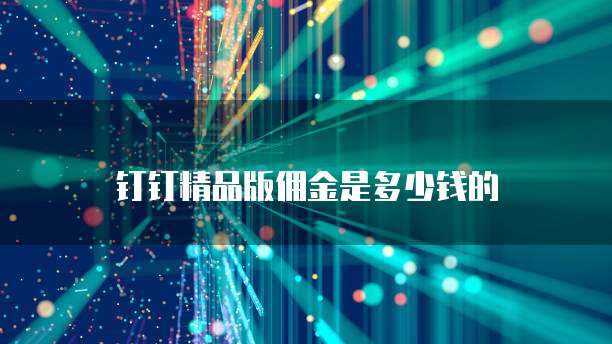 钉钉精品版佣金是多少钱的