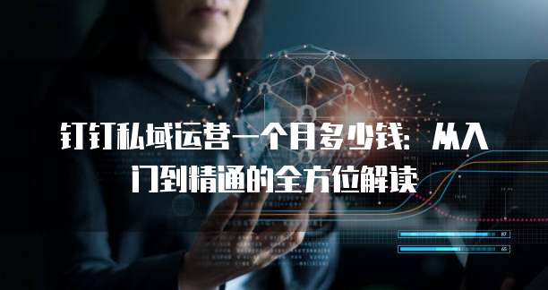 钉钉私域运营一个月多少钱:从入门到精通的全方位解读
