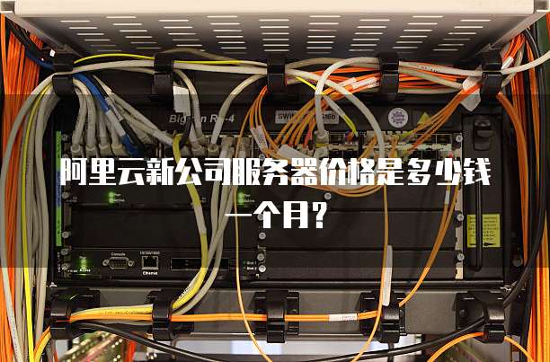 阿里云新公司服务器价格是多少钱一个月?
