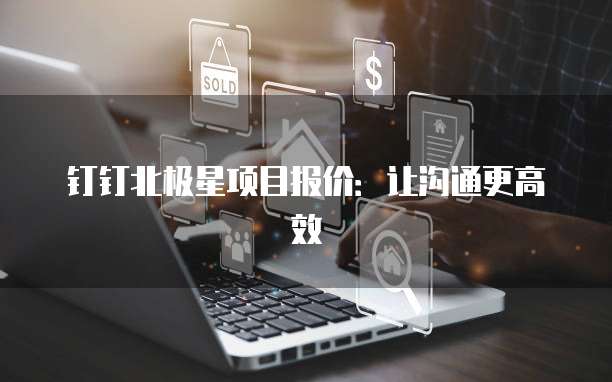 钉钉北极星项目报价:让沟通更高效