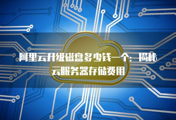 阿里云升级磁盘多少钱一个:揭秘云服务器存储费用