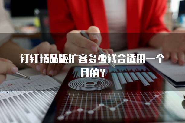 钉钉精品版扩容多少钱合适用一个月的?