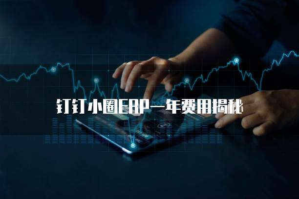 钉钉小圈ERP一年费用揭秘