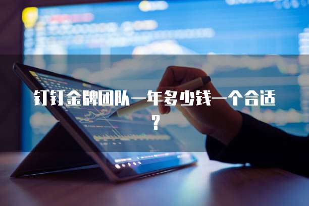 钉钉金牌团队一年多少钱一个合适?