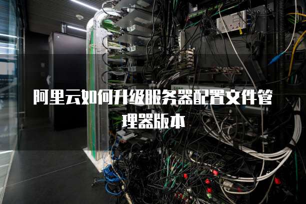 阿里云如何升级服务器配置文件管理器版本