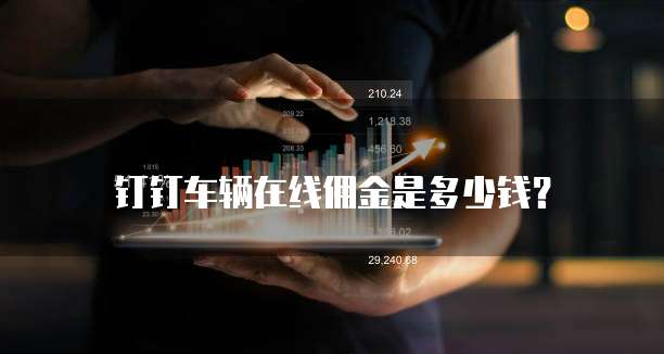 钉钉车辆在线佣金是多少钱？