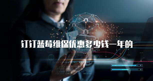 钉钉蓝莓维保优惠多少钱一年的