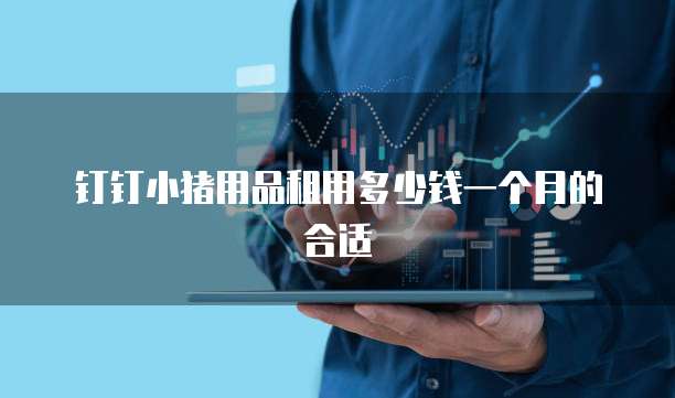 钉钉小猪用品租用多少钱一个月的合适