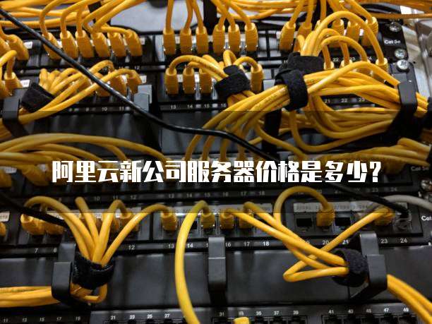 阿里云新公司服务器价格是多少？