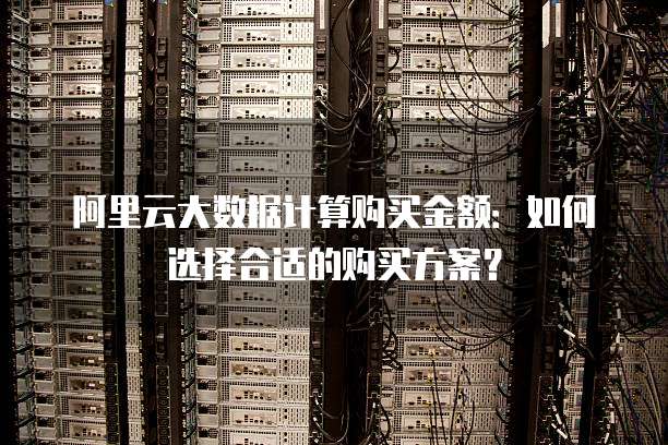阿里云大数据计算购买金额:如何选择合适的购买方案?