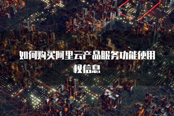 如何购买阿里云产品服务功能使用权信息