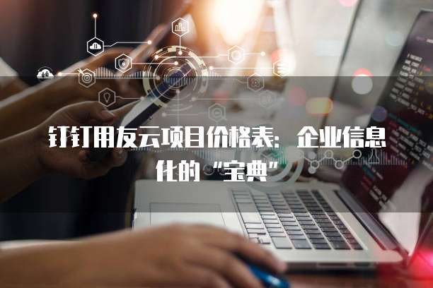 钉钉用友云项目价格表:企业信息化的“宝典”