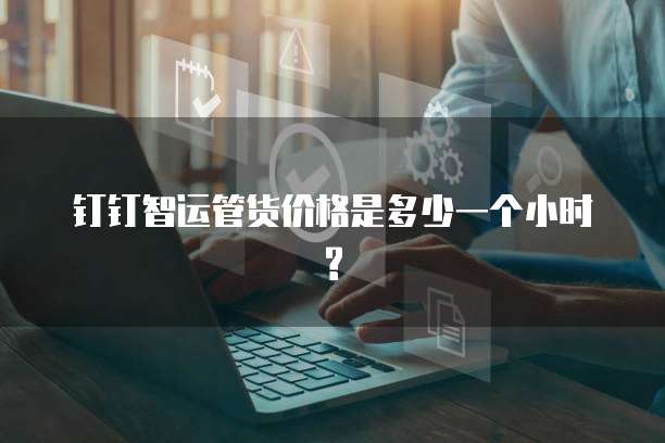 钉钉智运管货价格是多少一个小时?