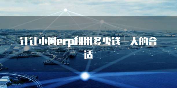 钉钉小圈erp租用多少钱一天的合适