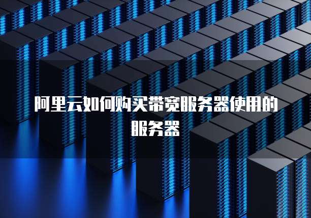 阿里云如何购买带宽服务器使用的服务器