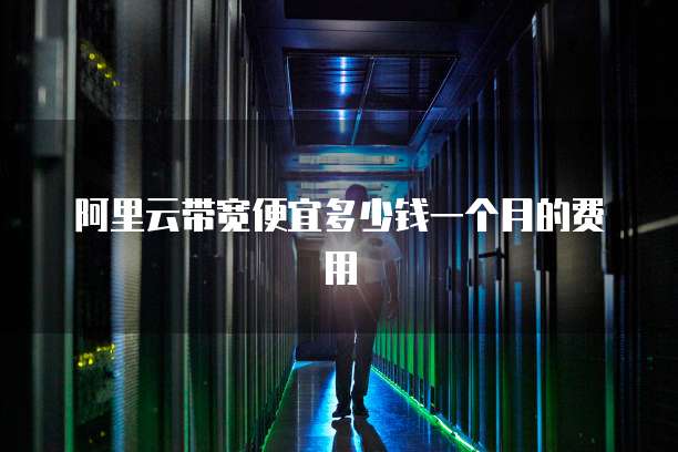 阿里云带宽便宜多少钱一个月的费用