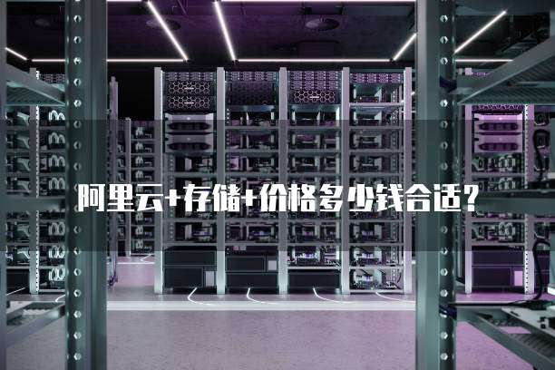 阿里云+存储+价格多少钱合适?