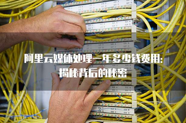阿里云媒体处理一年多少钱费用:揭秘背后的秘密
