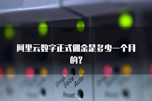 阿里云数字正式佣金是多少一个月的?