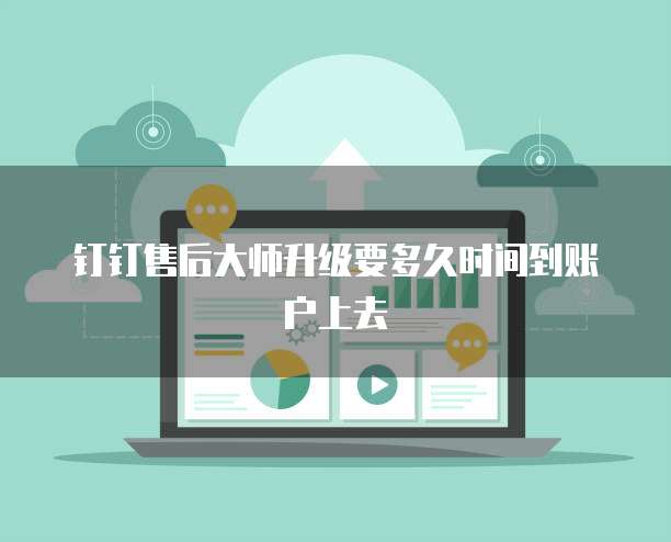 钉钉售后大师升级要多久时间到账户上去
