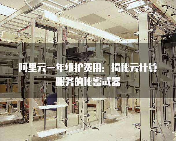 阿里云一年维护费用:揭秘云计算服务的秘密武器