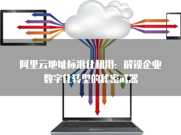 阿里云地址标准化租用:解锁企业数字化转型的秘密武器