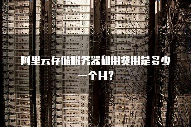 阿里云存储服务器租用费用是多少一个月?