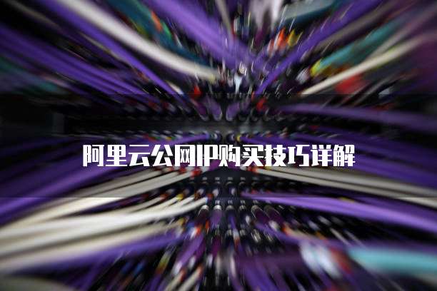 阿里云公网IP购买技巧详解