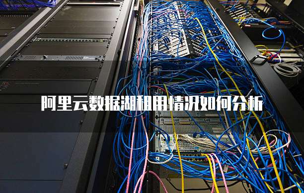 阿里云数据湖租用情况如何分析