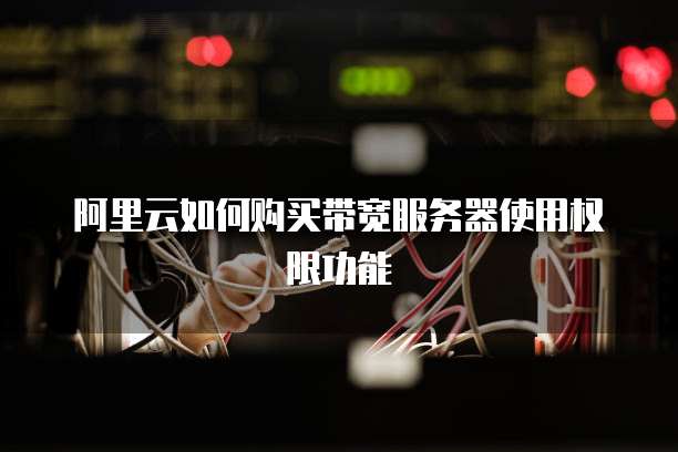 阿里云如何购买带宽服务器使用权限功能
