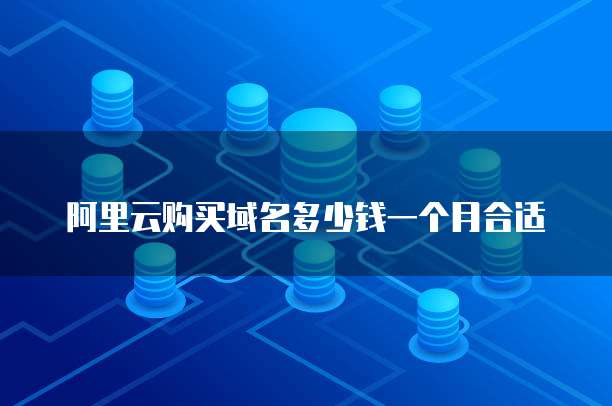 阿里云购买域名多少钱一个月合适