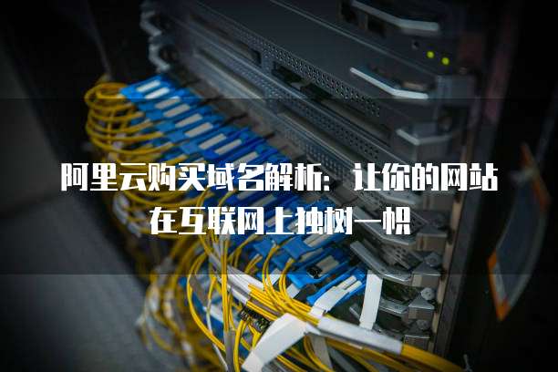 阿里云购买域名解析:让你的网站在互联网上独树一帜