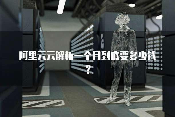 阿里云云解析一个月到底要多少钱？