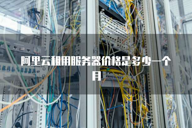 阿里云租用服务器价格是多少一个月