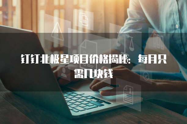 钉钉北极星项目价格揭秘:每月只需几块钱