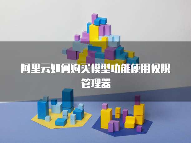 阿里云如何购买模型功能使用权限管理器