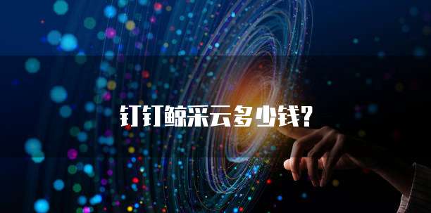 钉钉鲸采云多少钱?