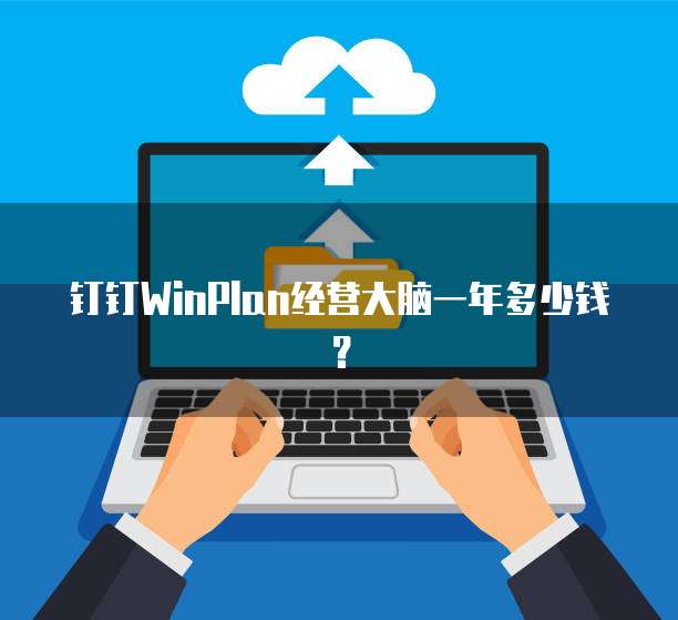 钉钉WinPlan经营大脑一年多少钱?